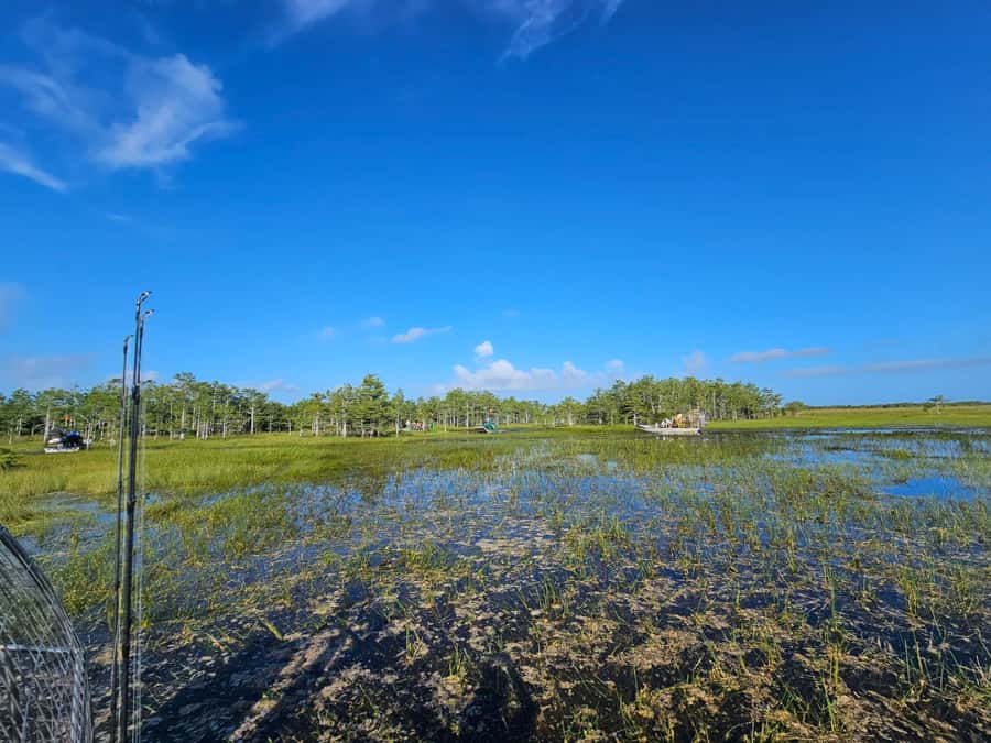 Everglades Small Group on Airboat with Transportation - Who This Everglades Tour Fits Best
