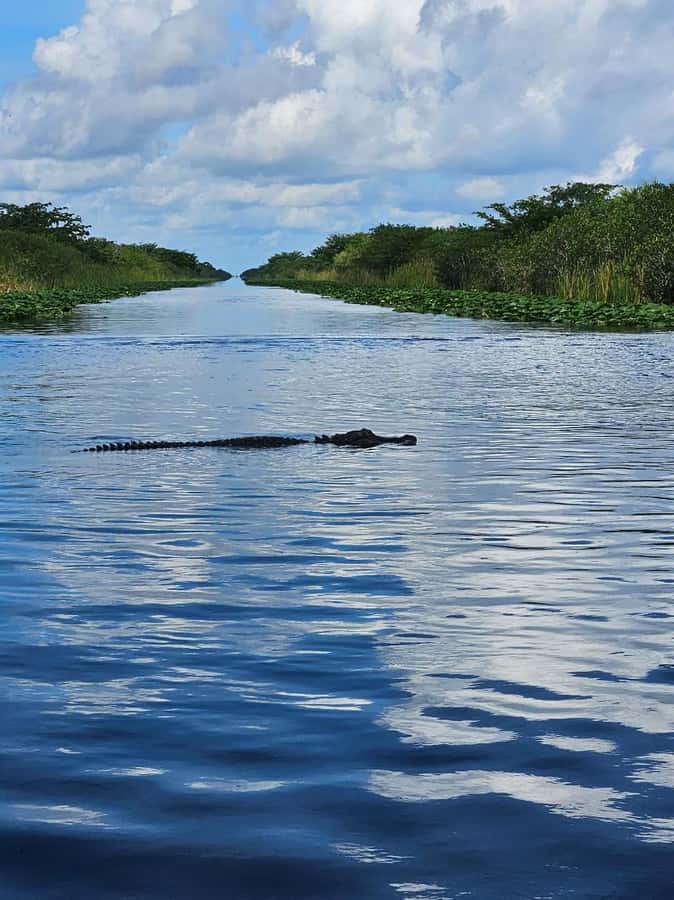 Everglades Small Group on Airboat with Transportation - Sawgrass Recreation Park: the Guided Lesson Before You Fly