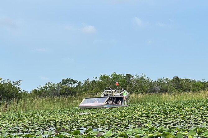 Everglades Small-Group Tour from Miami with Transportation - Price and Value: What $82.98 Actually Buys