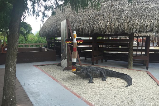 Everglades Small-Group Tour from Miami with Transportation - On the Road to the Everglades: Expect Real Commentary, Not Dead Time