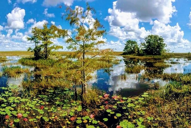 Everglades Tour w/ Biologist Led WET walk + 2 Boat Trips + Lunch! - River of Grass viewing and the Loop Road gator-hunting drive