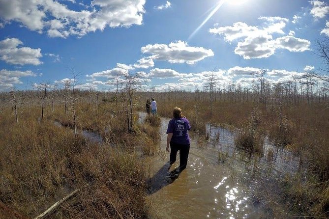 Everglades Tour w/ Biologist Led WET walk + 2 Boat Trips + Lunch! - Big Cypress National Preserve swamp walk: the WET walk part that needs real planning