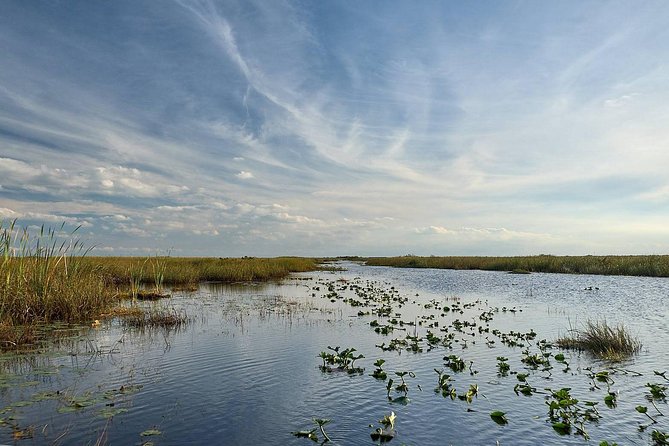 Everglades Tour w/ Biologist Led WET walk + 2 Boat Trips + Lunch! - Lunch in Everglades City: where the day gets to slow down