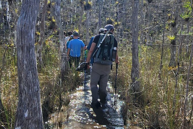 Everglades Tour w/ Biologist Led WET walk + 2 Boat Trips + Lunch! - Chokoloskee and the 10,000 Islands boat trip: the final wildlife sweep