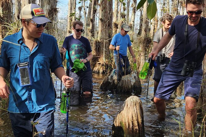 Everglades Tour w/ Biologist Led WET walk + 2 Boat Trips + Lunch! - Morning logistics: hotel pickup plus an early Miami narrative