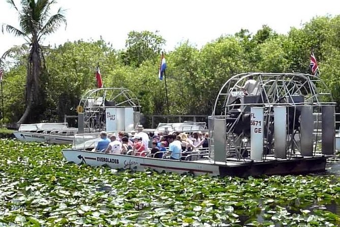 Everglades Wildlife Tour: Airboat & Alligator Habitat Experience - Wildlife Viewing That Feels Real: Gators, Turtles, Birds, and More