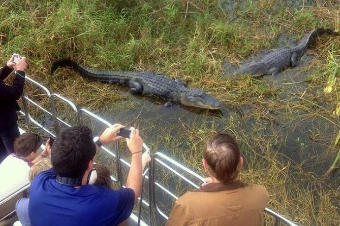 Everglades Wildlife Tour: Airboat & Alligator Habitat Experience - Bayside Marketplace Return: Use the Free Time Smartly