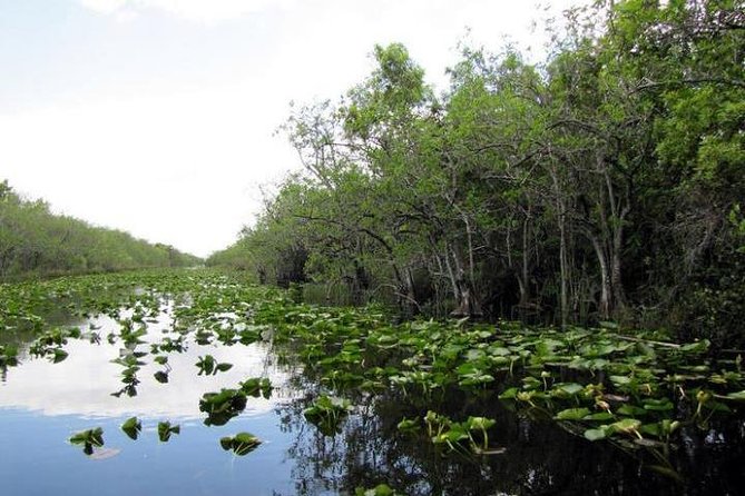 Everglades Wildlife Tour: Airboat & Alligator Habitat Experience - Your Gear and Comfort Checklist (Because the Details Do Matter)