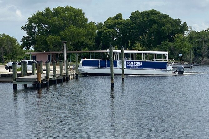 Flamingo Everglades Boat Tours - Getting to the boat: Flamingo Lodge meeting point and what to prep