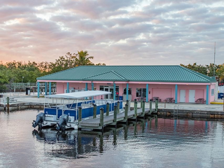 Flamingo Marina: Backcountry Boat Tour of the Everglades - Flamingo Marina: check-in, timing, and what your 90 minutes will feel like