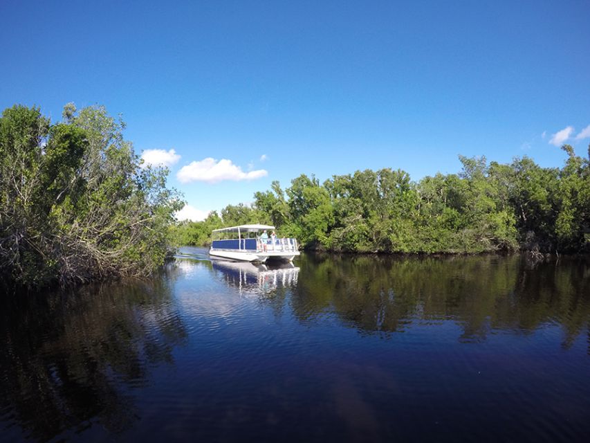 Flamingo Marina: Backcountry Boat Tour of the Everglades - Captain care and animal sightings: why the guide-and-boat teamwork matters