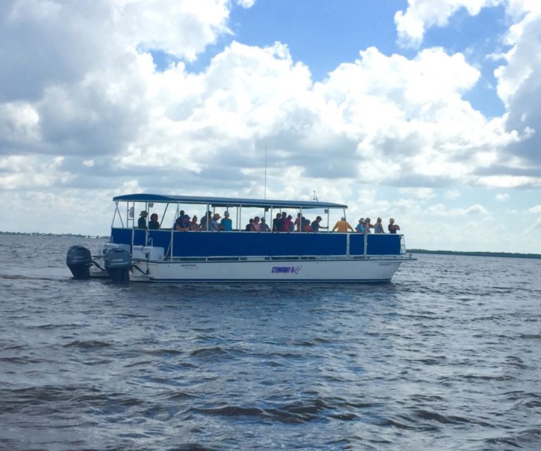 Flamingo Marina: Backcountry Boat Tour of the Everglades - Price and value: is $48 for 90 minutes a good deal?