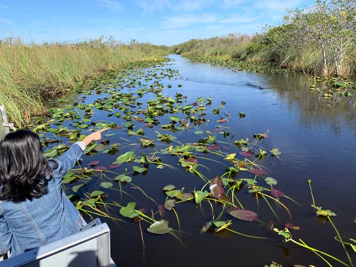 From Miami Beach: Everglades Airboat & Gator Spotting Tour - Key things to know before you go