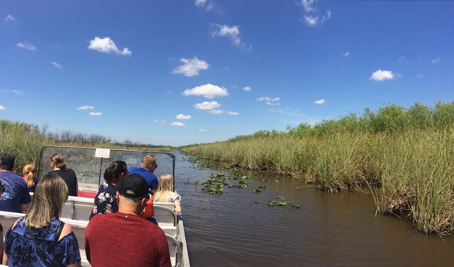 From Miami Beach: Everglades Airboat & Gator Spotting Tour - Should you book this tour? My call