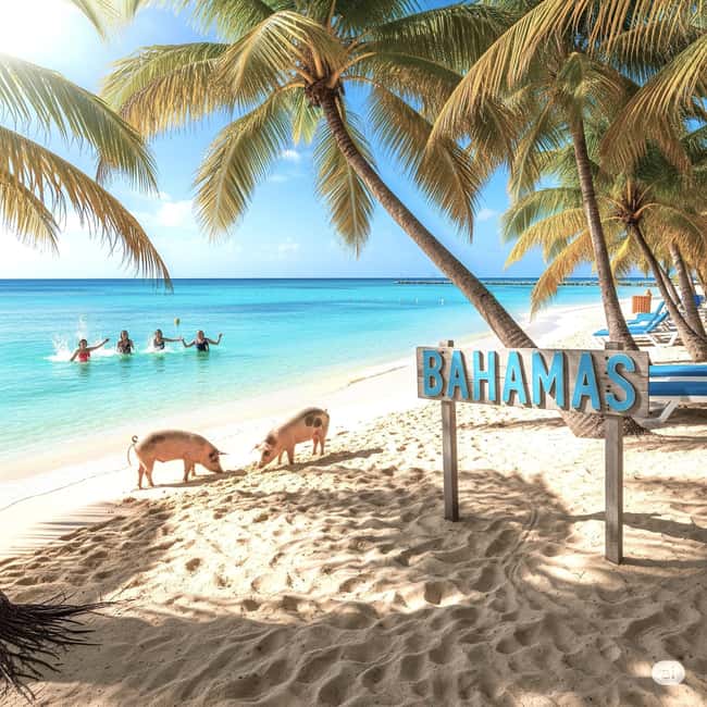 From Miami: Bimini or Grand Bahama Day Trip by Ferry - Ports, timing, and the early-morning reality check