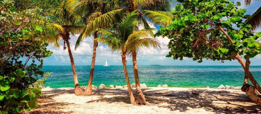 From Miami - Enchanting Key West Tour in a Small Group. - Optional snorkeling with open bar: good idea, but timing matters