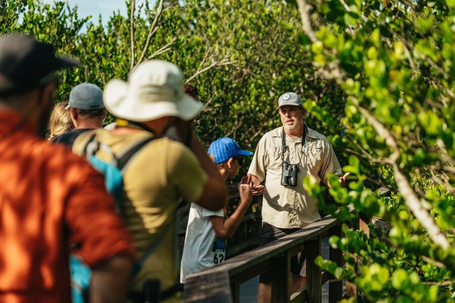 From Miami: Everglades Airboat Ride and Nature Walk - Key Points Before You Go
