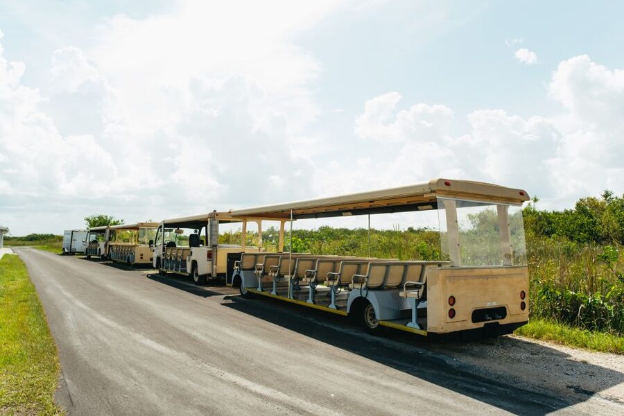 From Miami: Everglades Airboat Ride and Nature Walk - How the Everglades Airboat Ride and Nature Walk Gets You Real Florida Fast