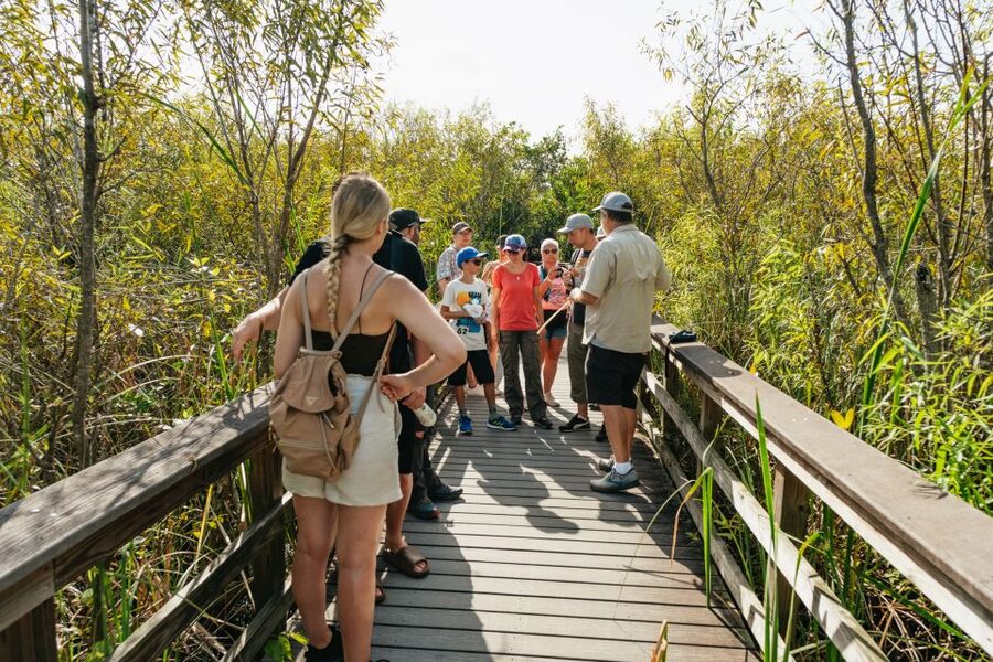 From Miami: Everglades Airboat Ride and Nature Walk - Picnic Break and Park Time: Fueling the Day Without Losing Momentum