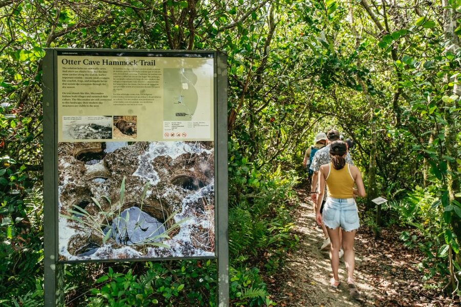 From Miami: Everglades Airboat Ride and Nature Walk - Price and Value: Is $189 Worth It?
