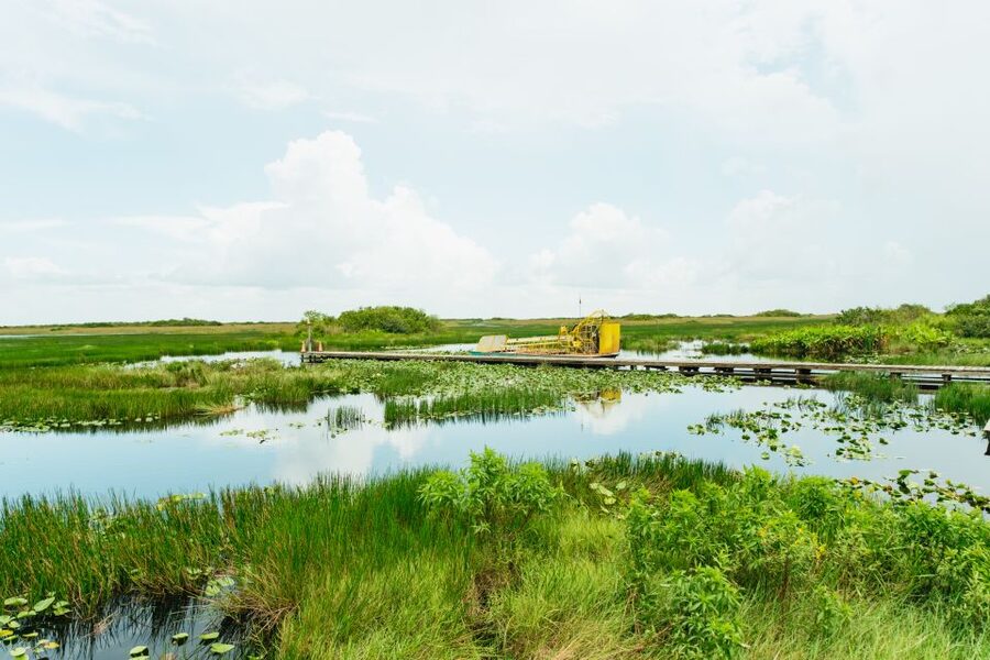 From Miami: Everglades Airboat Ride and Nature Walk - Getting From Miami and Fort Lauderdale: Pickup and Ride Setup That Cuts Stress