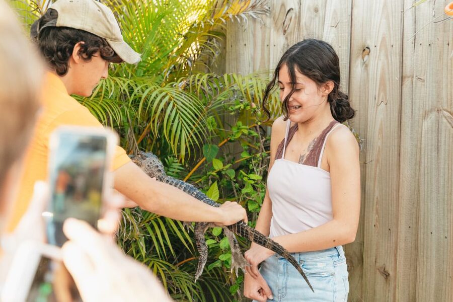 From Miami: Everglades Airboat, Wildlife Show & Bus Transfer - Miami to Everglades: what the transfer is really like