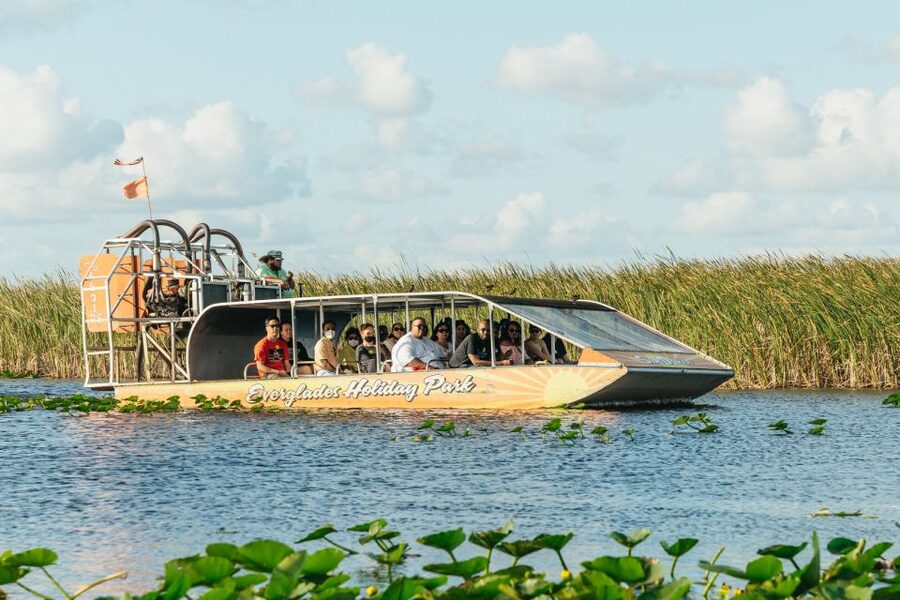 From Miami: Everglades Airboat, Wildlife Show & Bus Transfer - The airboat ride: spotting alligators without chasing perfection