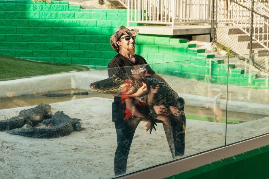From Miami: Everglades Airboat, Wildlife Show & Bus Transfer - How the 5 hours are spent: where the time goes (and where it feels tight)