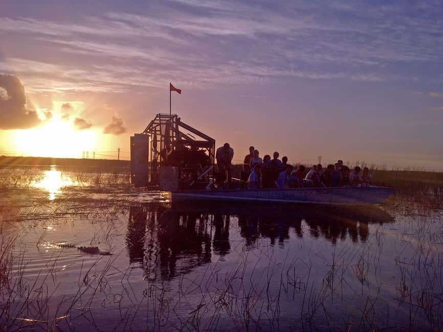 From Miami: Everglades at Night with Guided Airboat Tour - Key Things You’ll Notice on This Everglades Night Ride