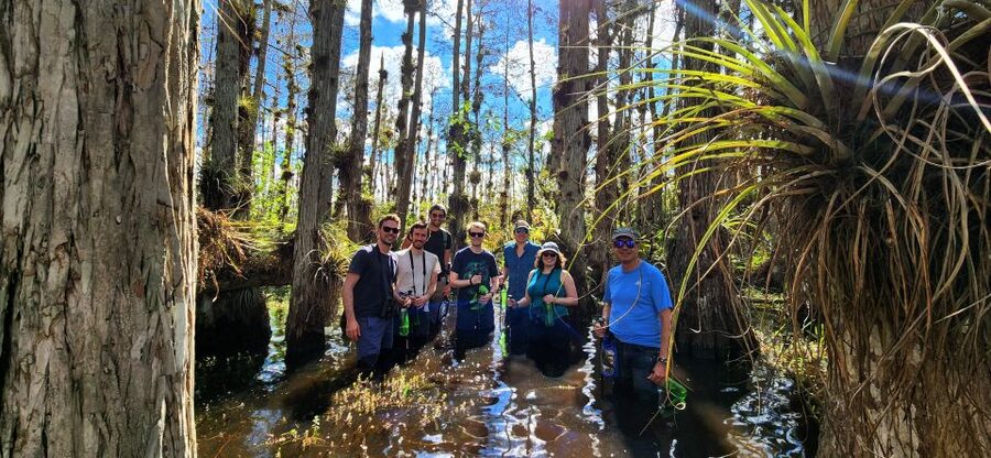 From Miami: Everglades Tour w/ Wet Walk, Boat Trips, & Lunch - Airboat Through The River of Grass: Wildlife Spotting Runs The Show