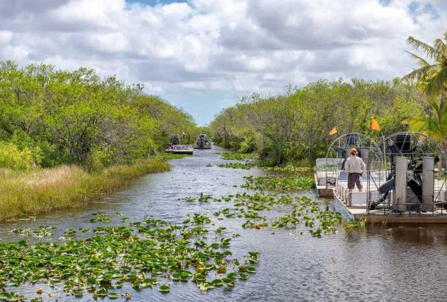 From Miami: Everglades Wildlife Show, Airboat & Bus Transfer - How to Dress for the Airboat (So Wind Doesn’t Ruin It)