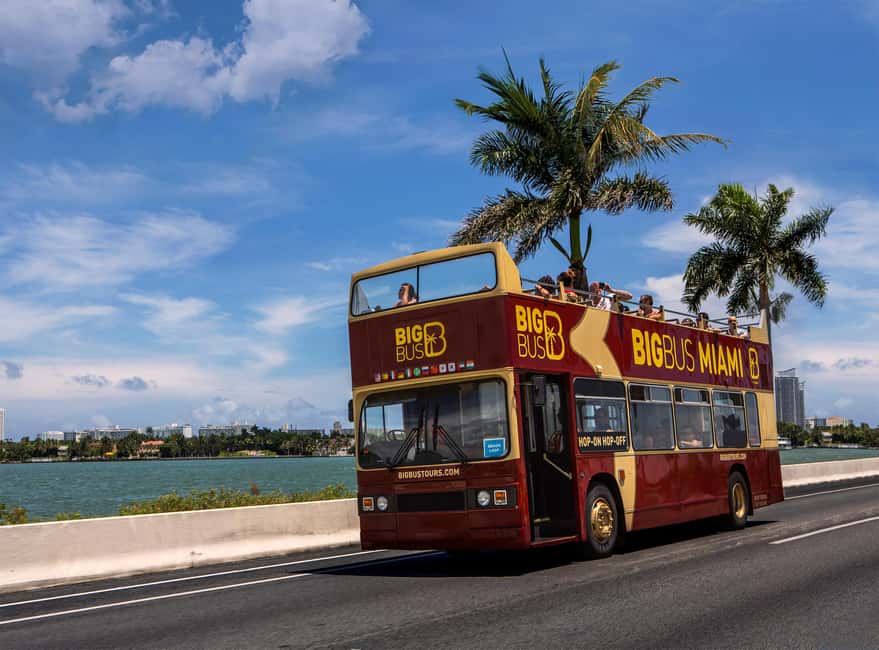 From Miami: Everglades, Wildlife Show, & Hop-on Hop-off Tour - The Seminole alligator and wildlife show: up-close education, not just spectacle