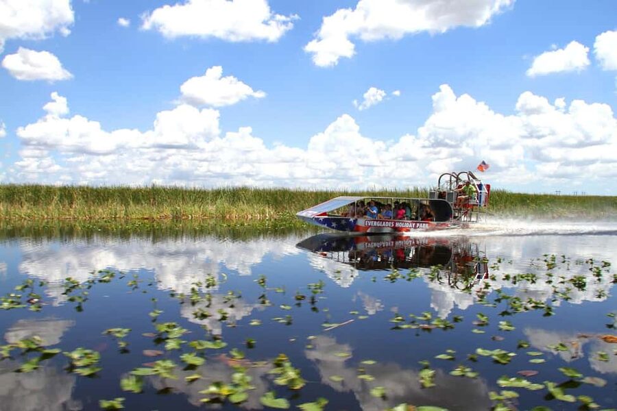 From Miami: Everglades, Wildlife Show, & Hop-on Hop-off Tour - The value question: is $79 per person a good deal?