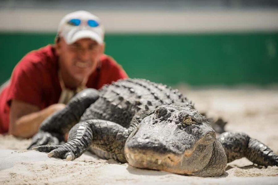 From Miami: Everglades, Wildlife Show, & Hop-on Hop-off Tour - Practical tips to get the best day from this package