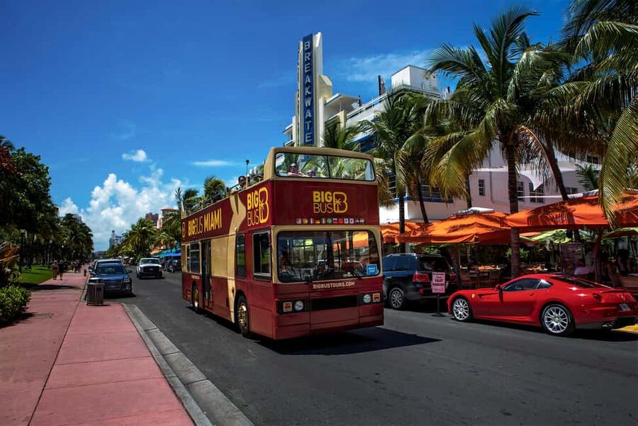 From Miami: Everglades, Wildlife Show, & Hop-on Hop-off Tour - Should you book the Miami Everglades, Wildlife Show, and Hop-on Hop-off combo?