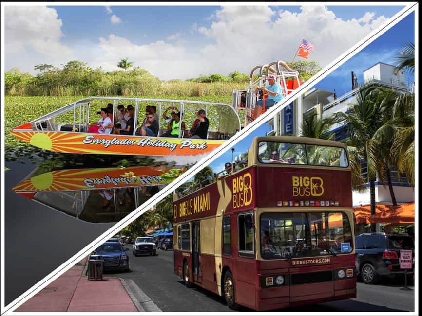 From Miami: Everglades, Wildlife Show, & Hop-on Hop-off Tour - Big Bus hop-on hop-off: a practical way to see Miami without overplanning