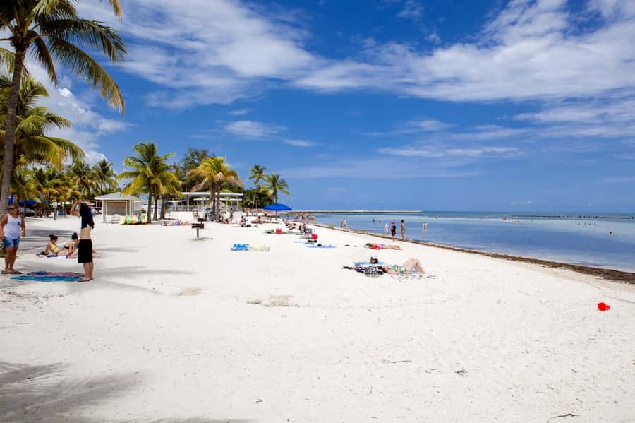 From Miami: Key West Day Tour by Motor Coach Bus - Who This Tour Best Fits (and Who Should Skip It)
