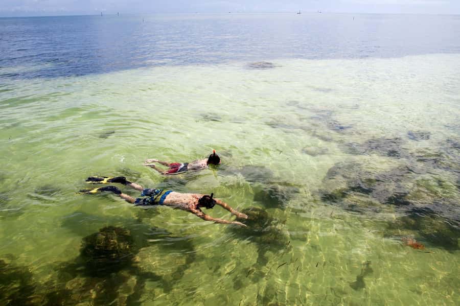 From Miami: Key West Day Tour by Motor Coach Bus - Price and Value: Is $62 a Smart Deal for This Day?
