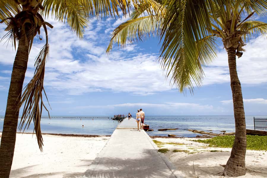 From Miami: Key West Day Tour by Motor Coach Bus - The Bridge-and-Island Drive: What You Gain (and What to Prepare For)