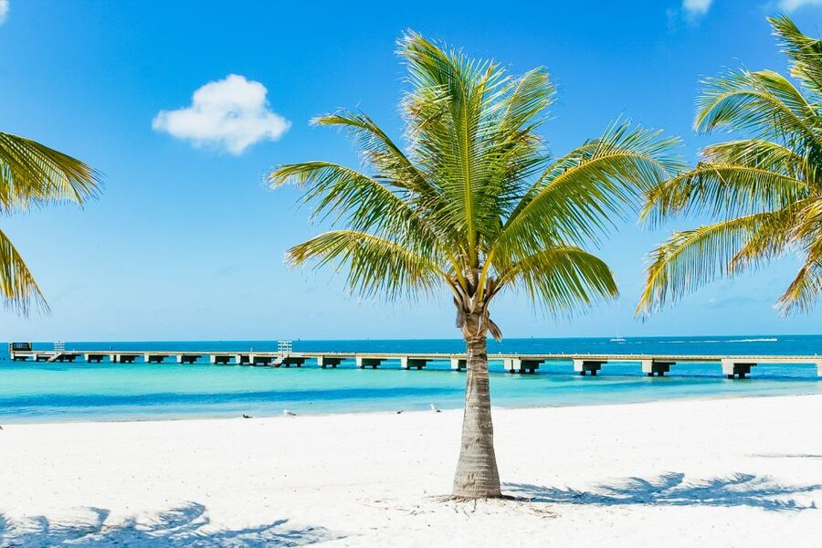 From Miami: Key West Day Trip - The Sea Day Component: Comfort, Crew Guidance, and Sport-Fishing Rules