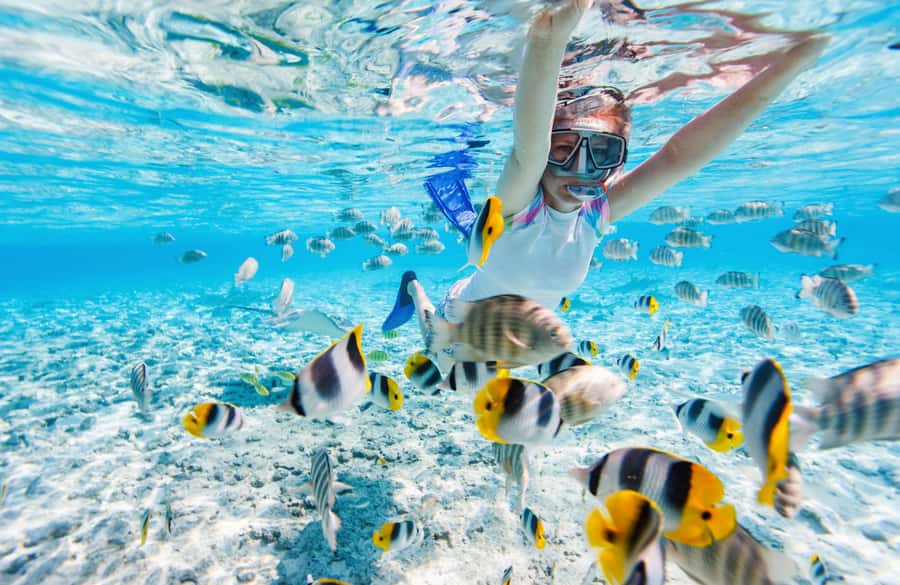 From Miami: Key West Day Trip with Narration - Key Highlights You’ll Feel Immediately
