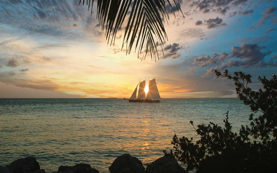 From Miami: Key West Day Trip with Narration - Duval Street and Mallory Square: where the vibe does the work