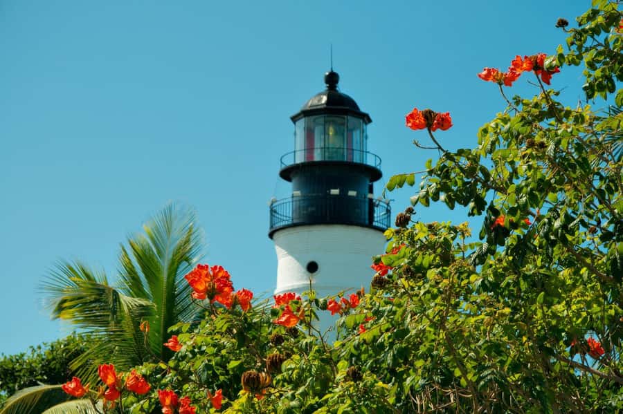 From Miami: Key West Day Trip with Narration - The Historic Seaport waterfront: food views, boat tours, and easy wandering