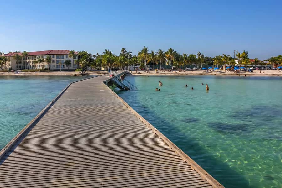 From Miami: Key West Day Trip with Narration - Hemingway House, Key West Cemetery, and Fort Zachary Taylor