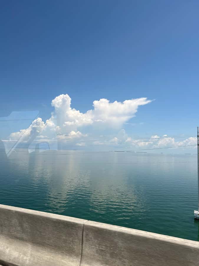 From Miami: Key West Day Trip with Narration - Southernmost Point Buoy and the Butterfly and Nature Conservatory
