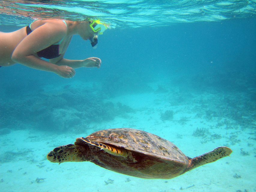 From Miami: Key West Day Trip - Getting to Key West: Pickup Options, Rest Stops, and Timing That Works