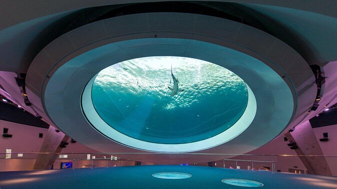 Frost Science Museum Admission Tickets - Key things that make Frost Science worth your time
