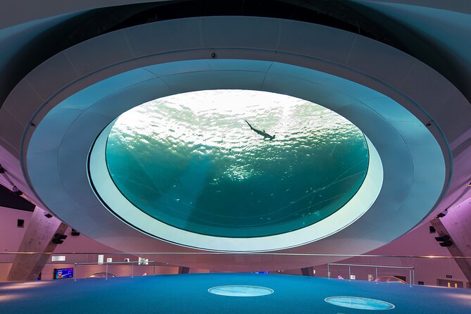 Frost Science Museum Admission Tickets - Planning your 2–3 hour visit: timing, flow, and heat strategy