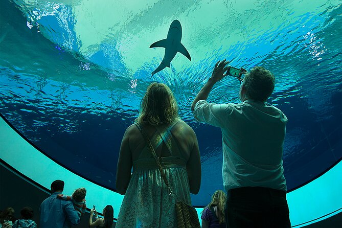 Frost Science Museum Admission Tickets - Price and what you get for $29.95 per person