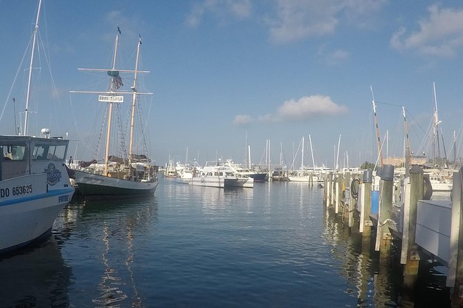 Full-Day Key West Tour and Coral Reef Snorkeling with Open Bar - The Open Bar Timing: When the Drinks Hit, and When They Don’t
